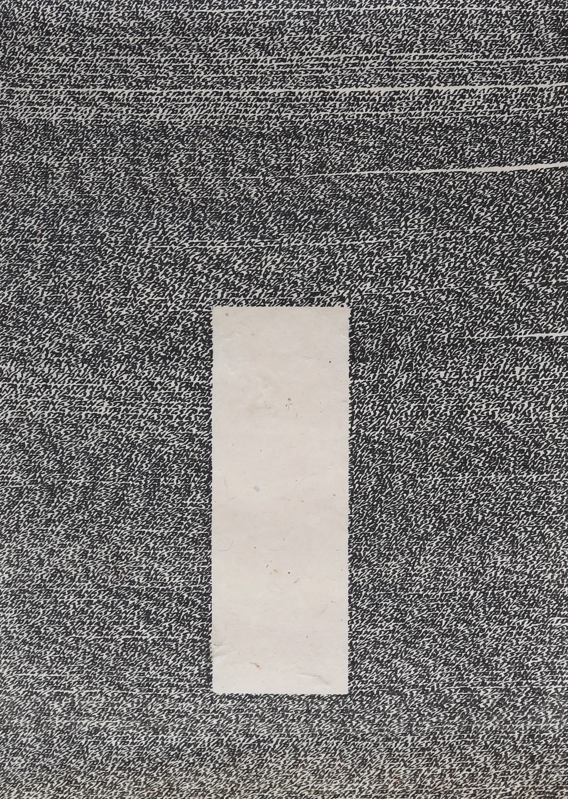 FH0A9886.JPG