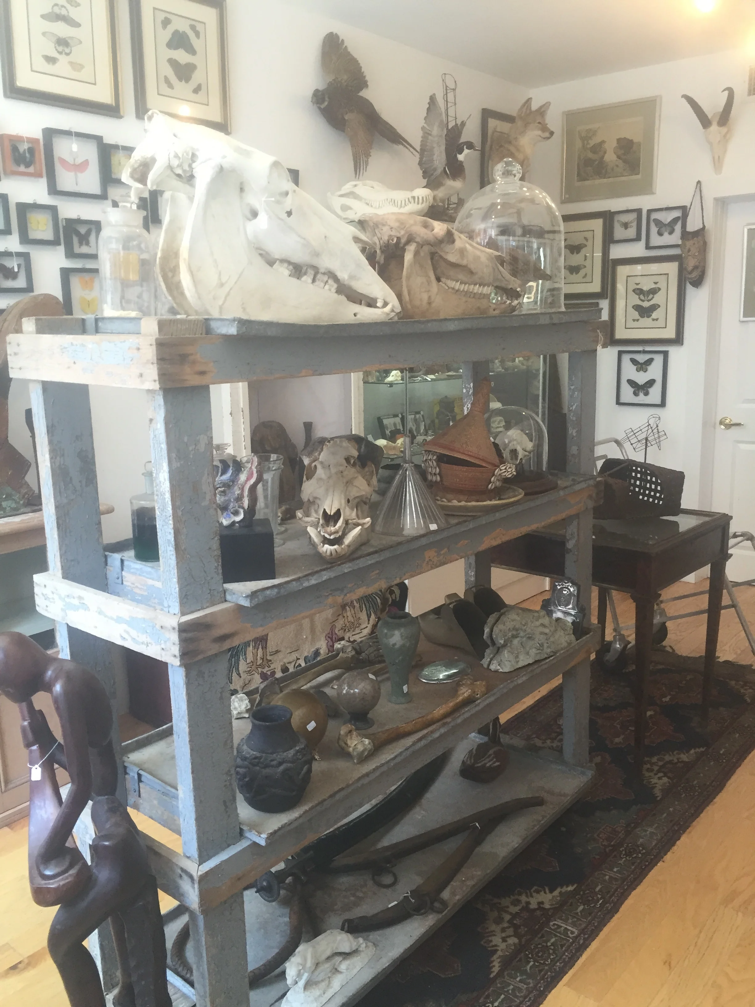 White Whale Ltd.