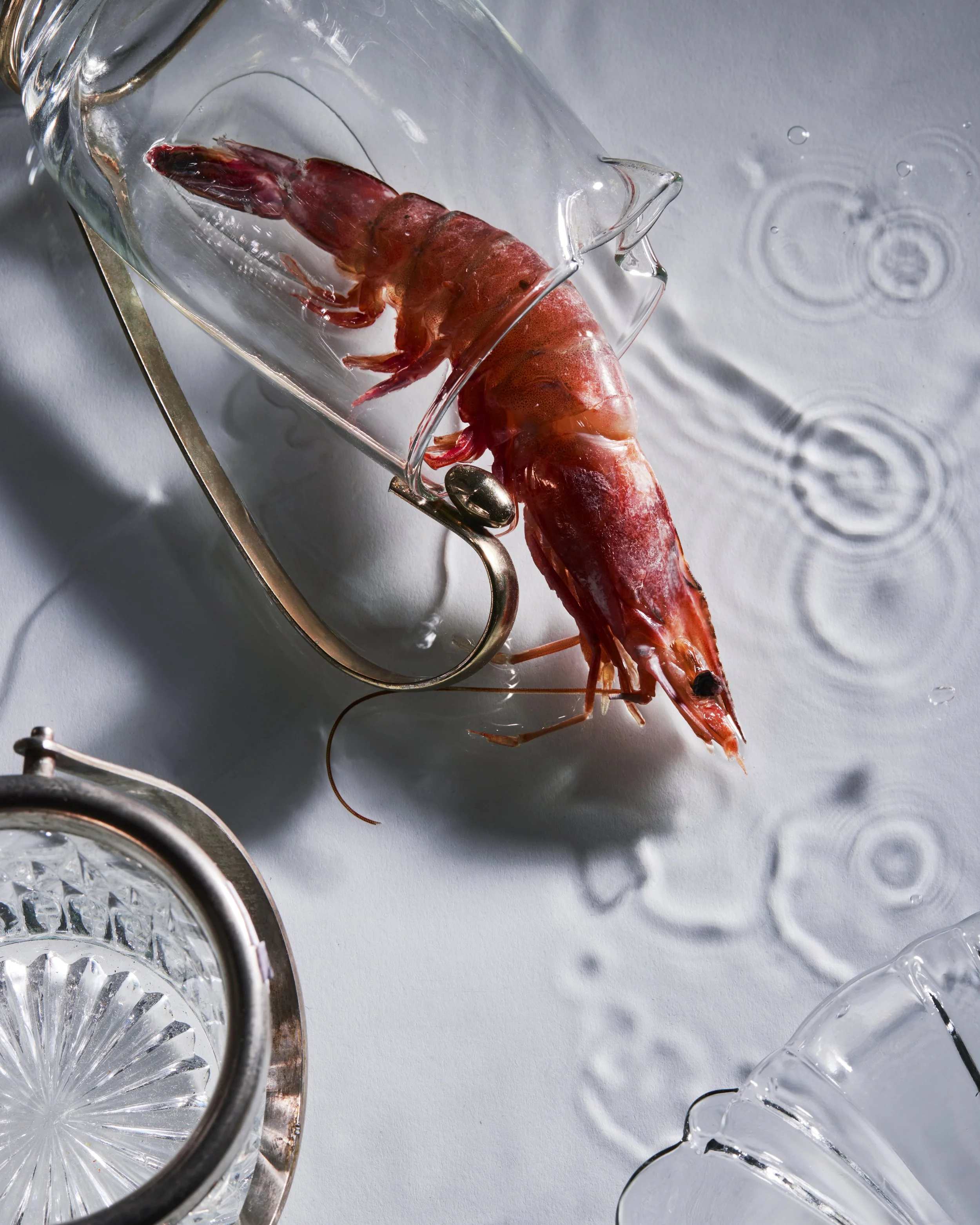 Still_Life_Test_0959 copy.jpg