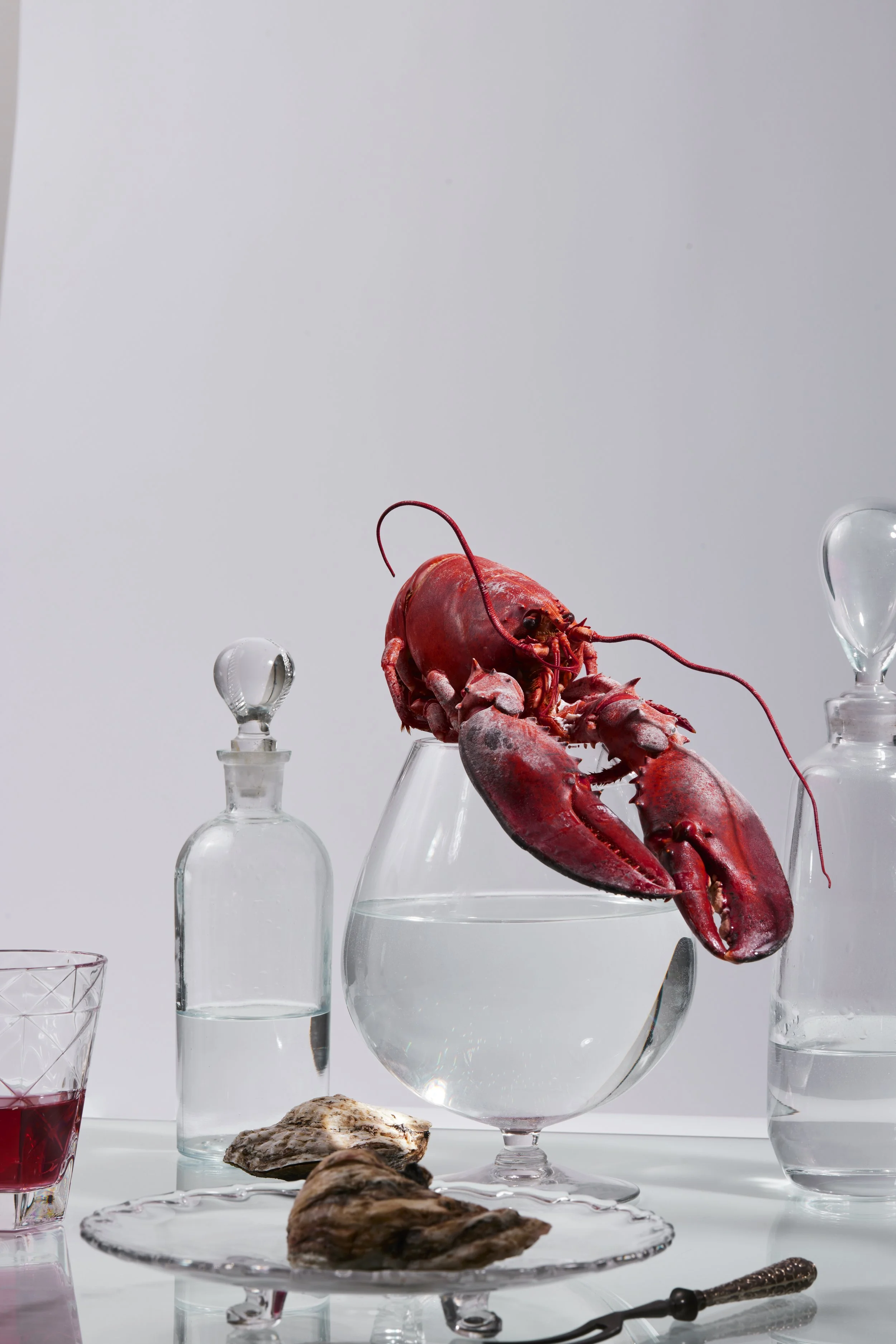 Still_Life_Test_0897 copy.jpg