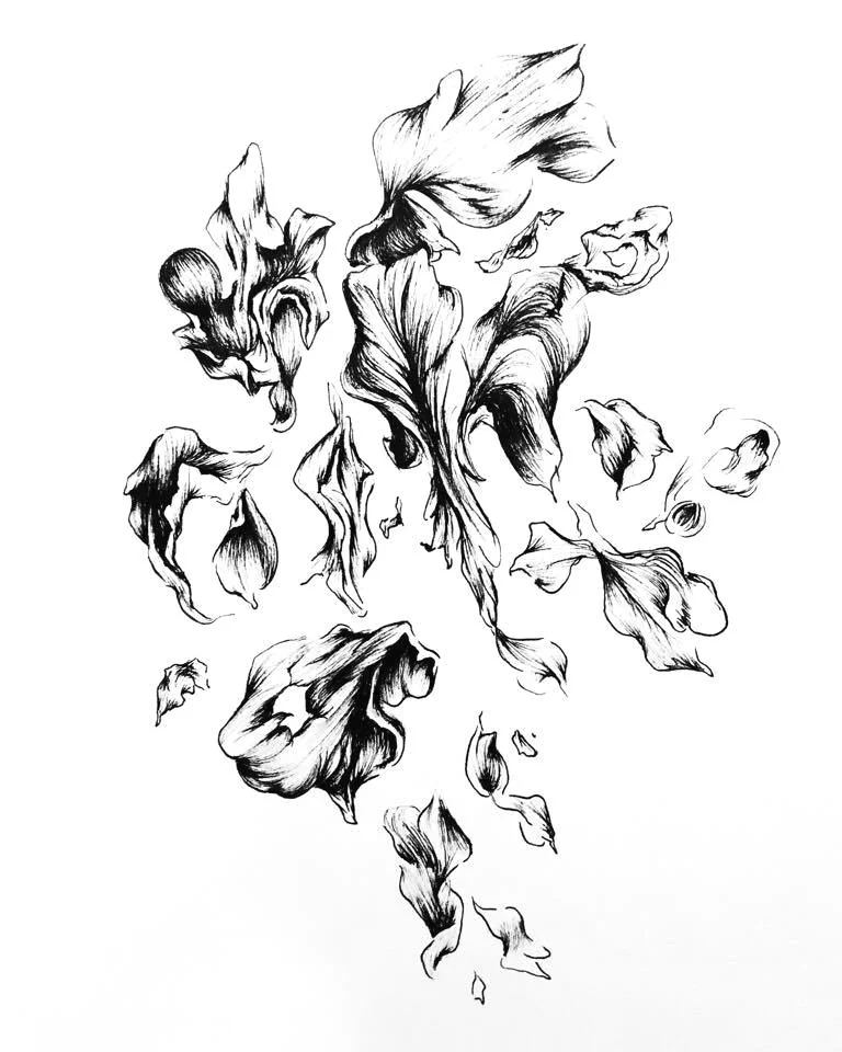 Wright%2C+Balloon%2C+Pan+%26+Ink%2C+%24250.jpg