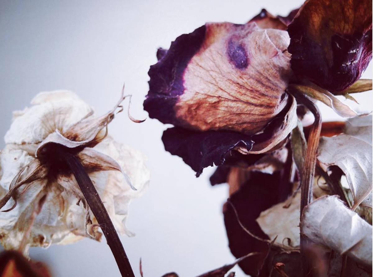 Screen Shot 2020-03-07 at 12.52.10 PM.png