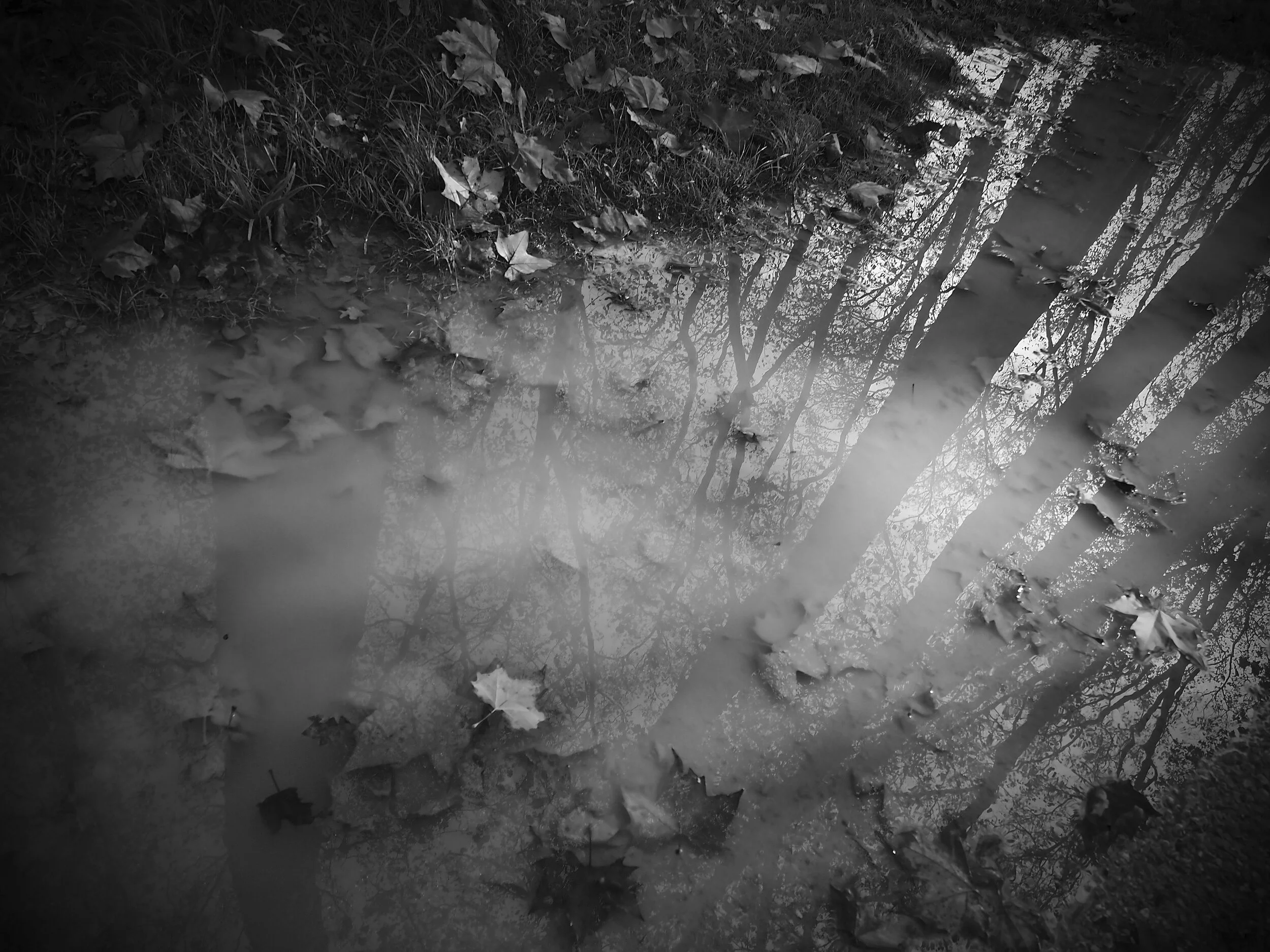 Brussels  Paris Prague 1009.JPG