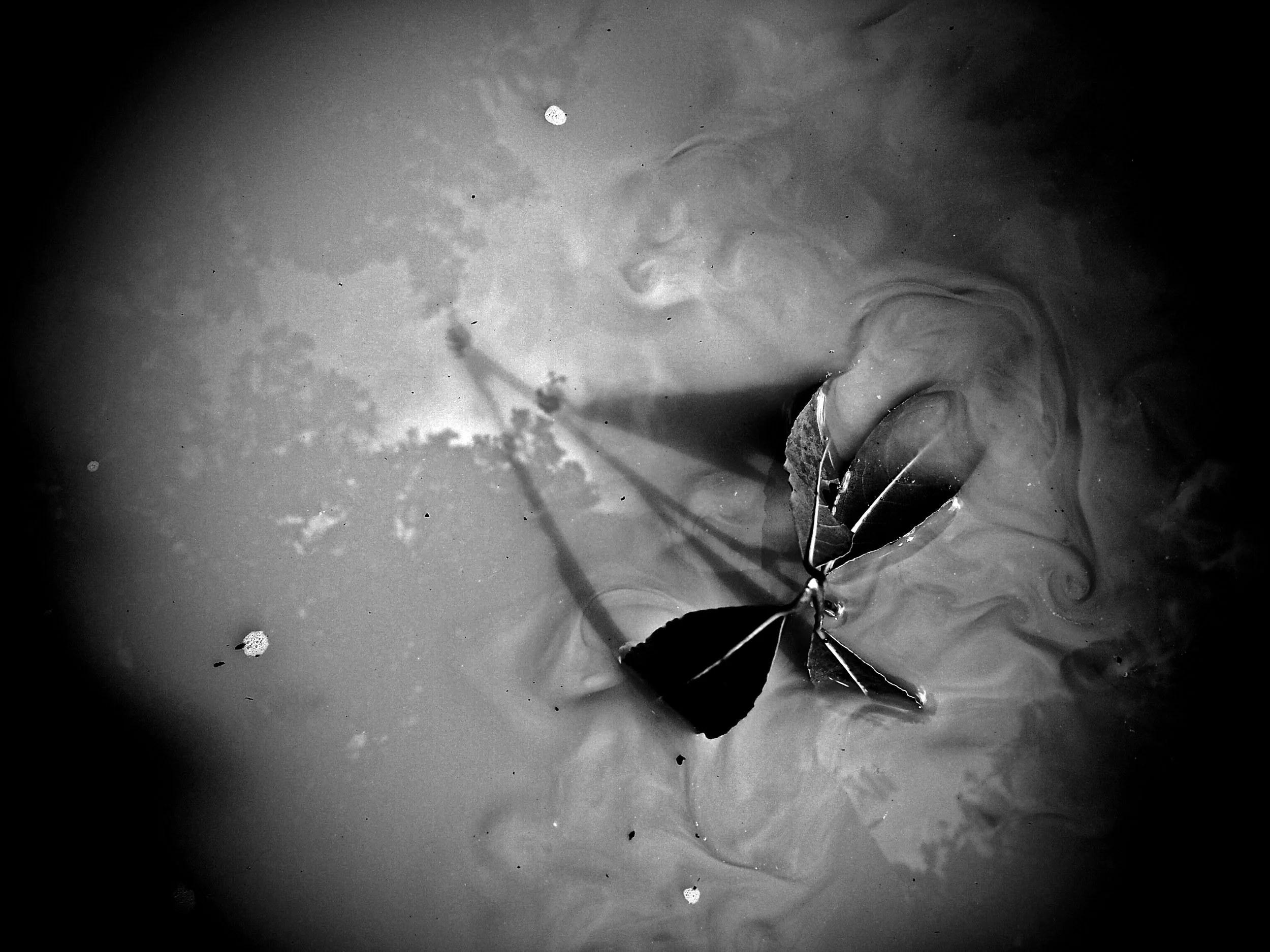 puddle swirls*.jpg