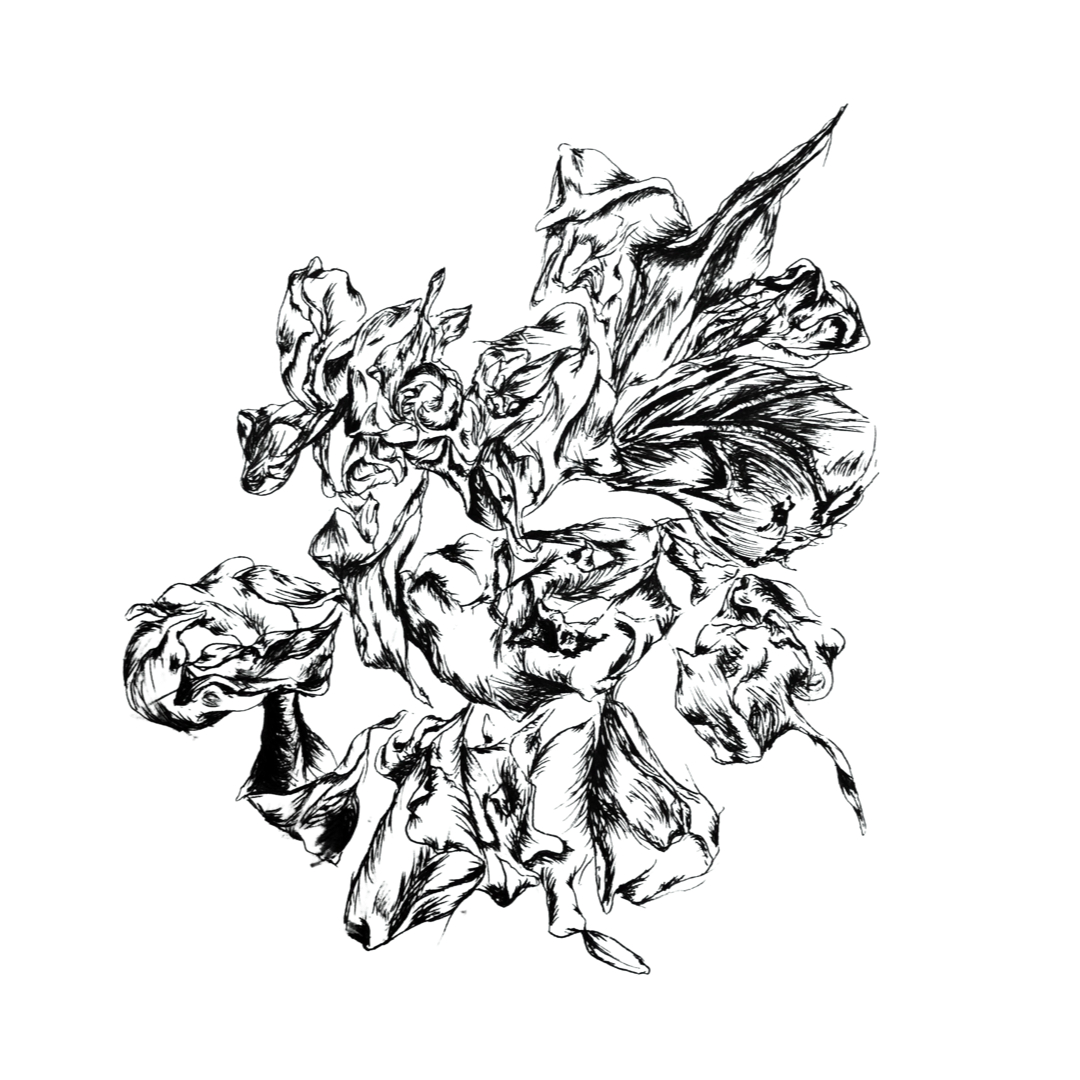 PNG image-DD4BE8E7A1BC-1.png