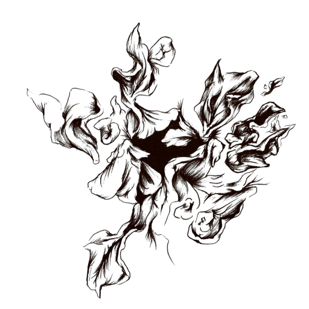 PNG image-4C897CE91F5B-1.png
