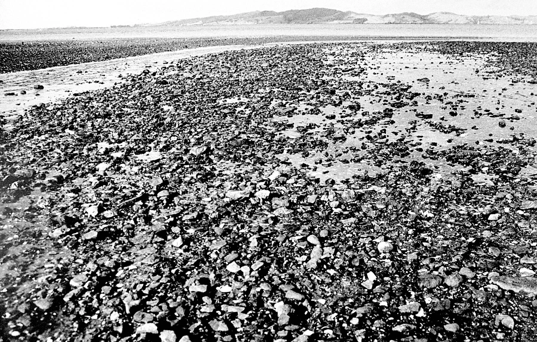 Photo on aluminium 100x150cm / available