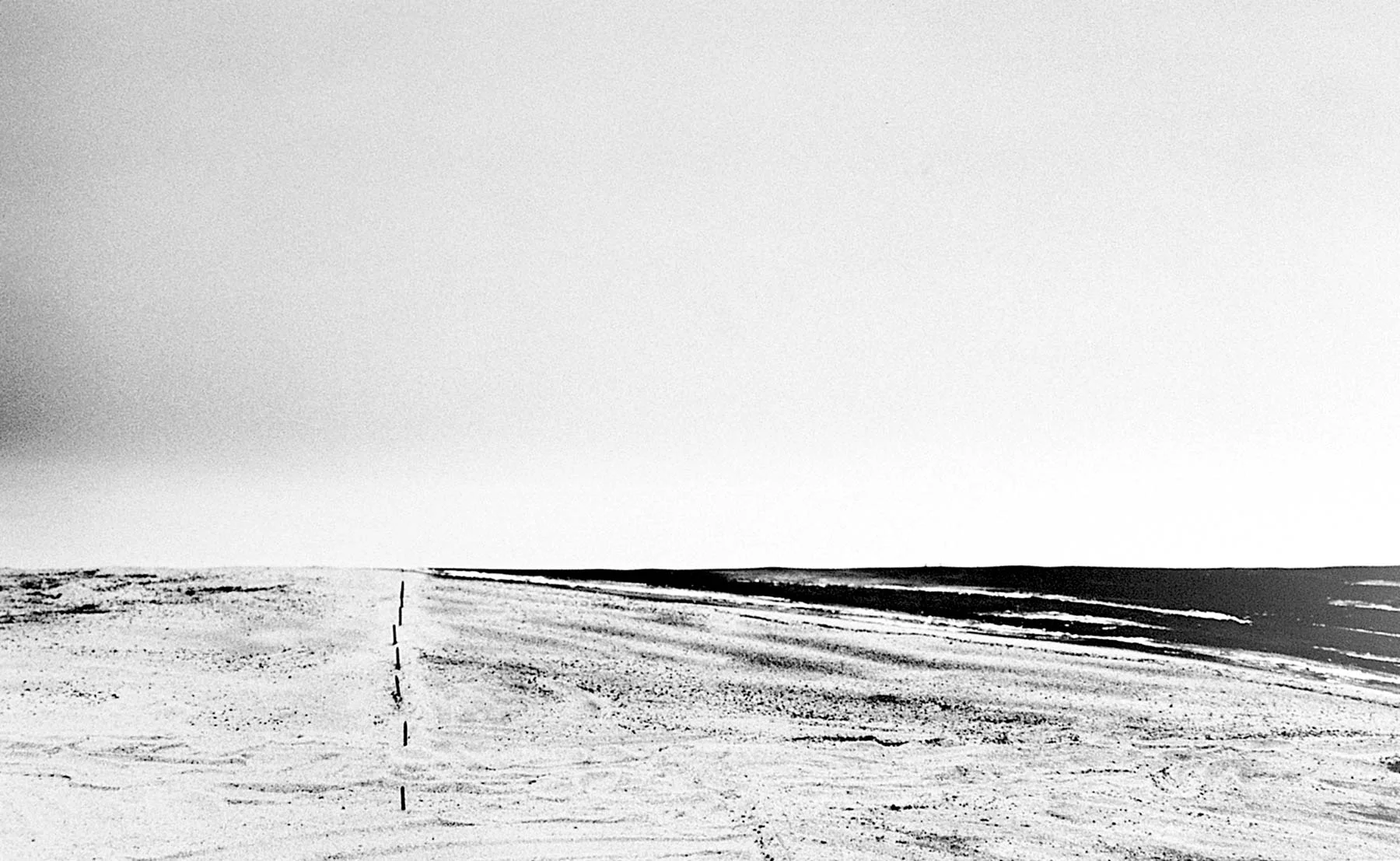 Photo on aluminium 100x150cm / available