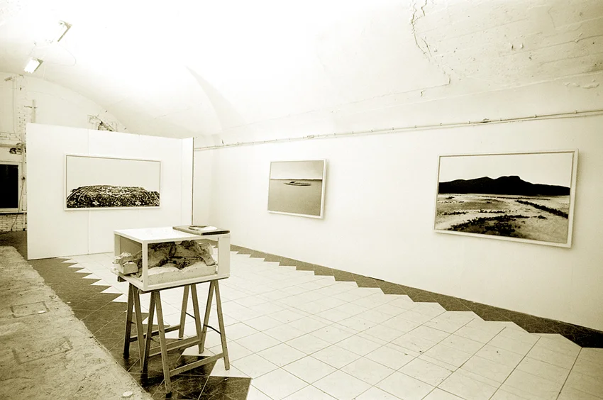 cucosa2004_2.jpg
