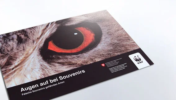 GR2_web_wwf_weiss_r.jpg