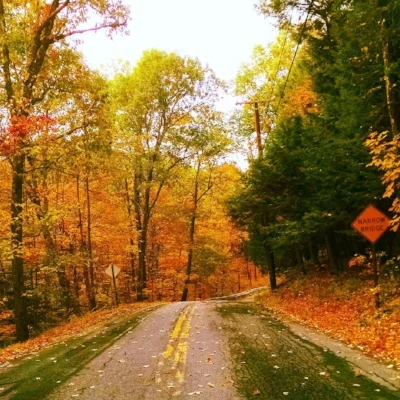 Driving through Rensselaer County, autumn 2015