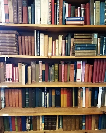 20180407_124026.jpg