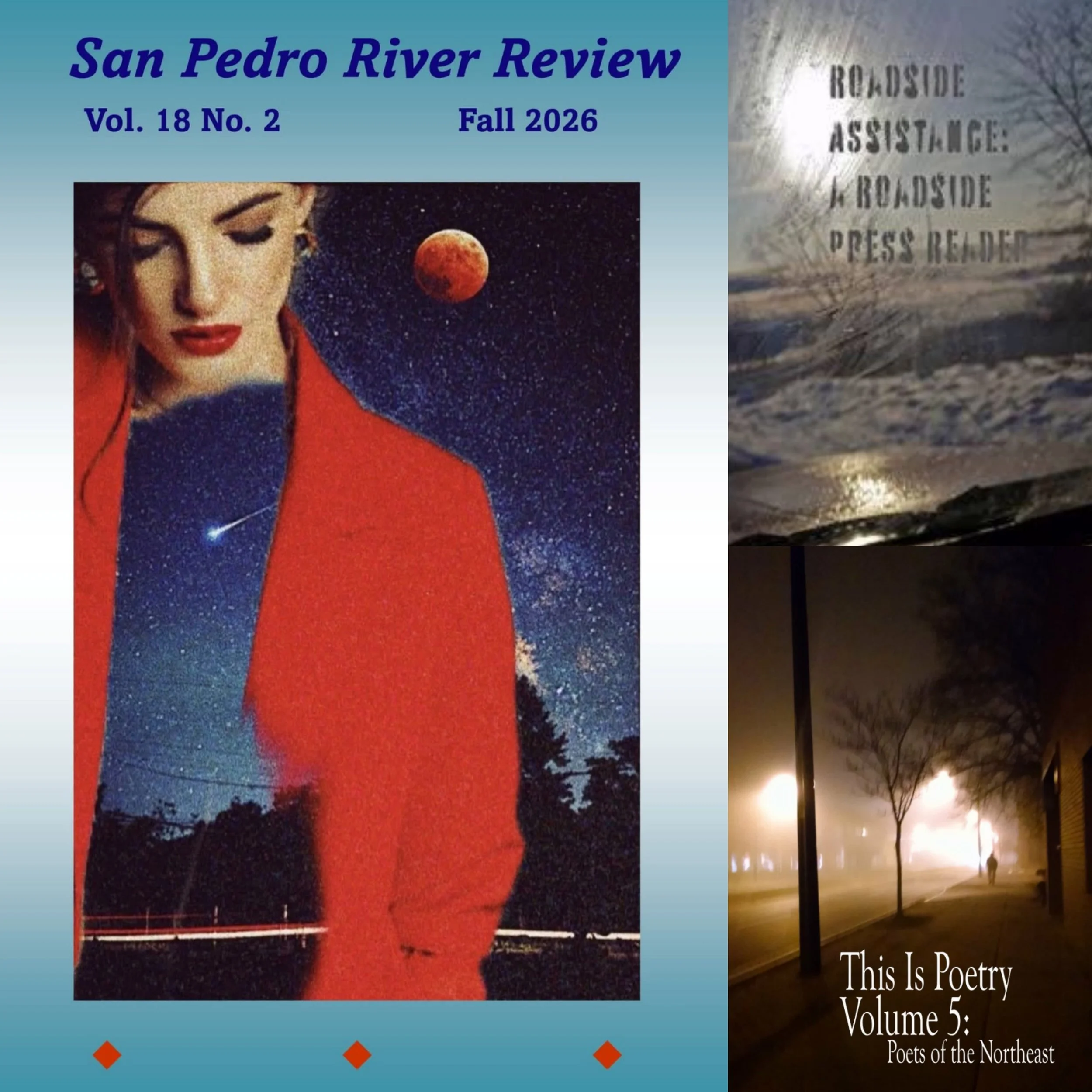 New Issues, New Anthologies