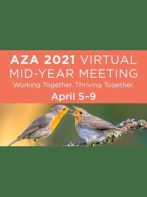2021 - Virtual Meeting