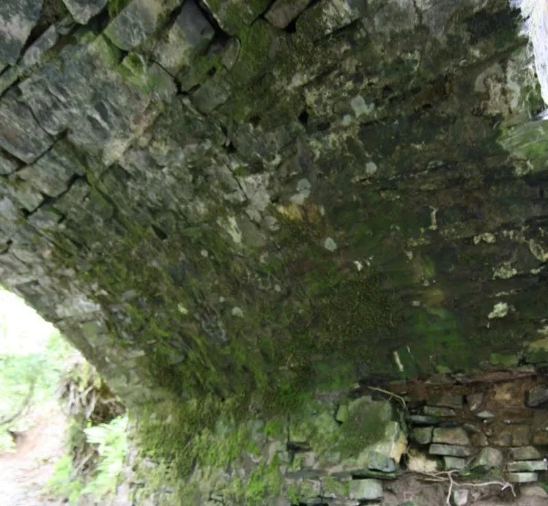 Figure 16 Here you can see the crack through the stones in the ring