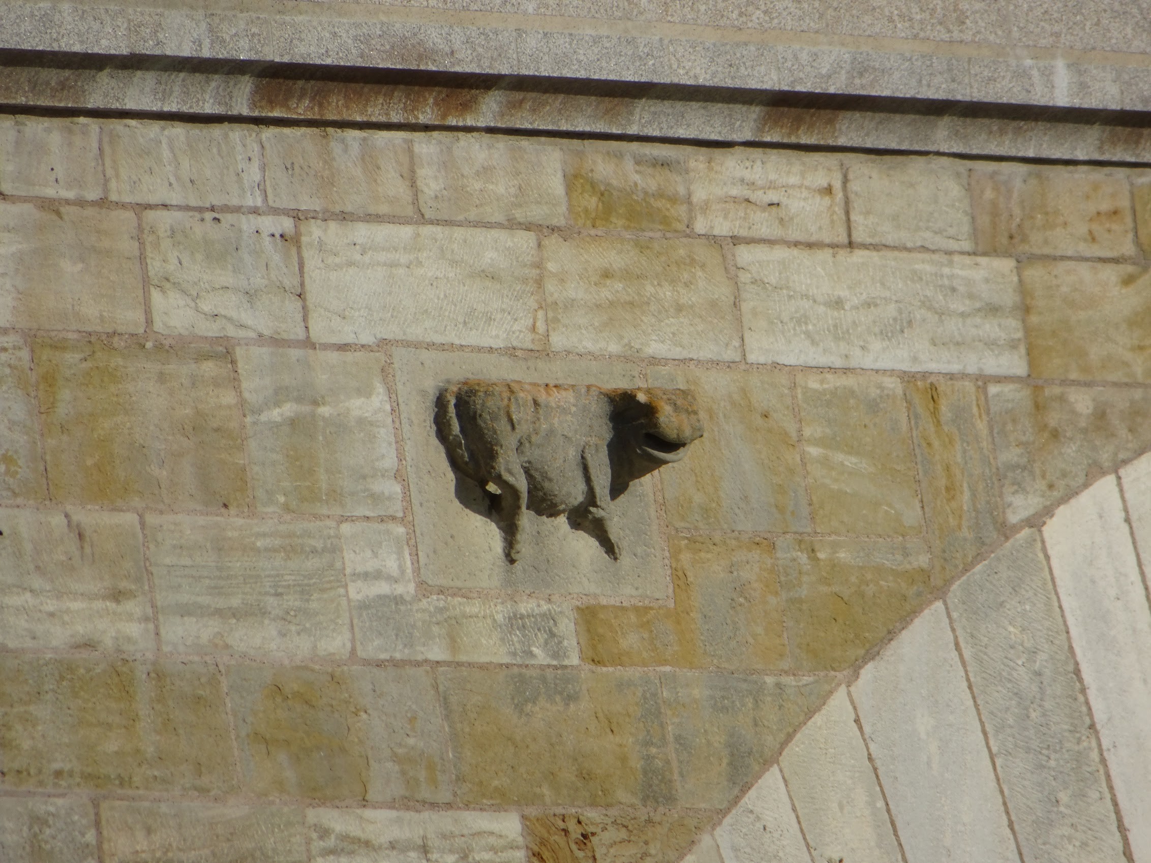 Bull? or cow? And why?