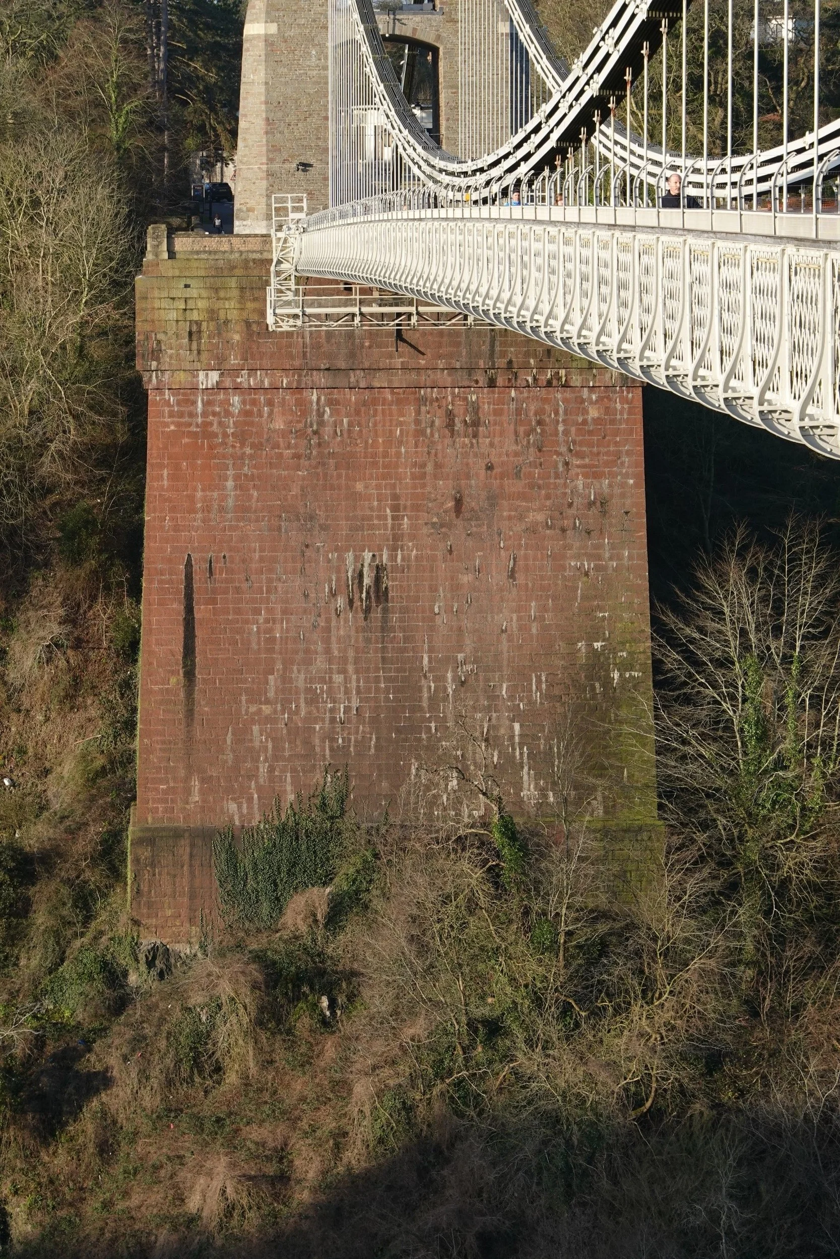 Figure 2 The gorge face of the Leigh Woods pier