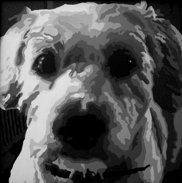 Nyla_2.jpg