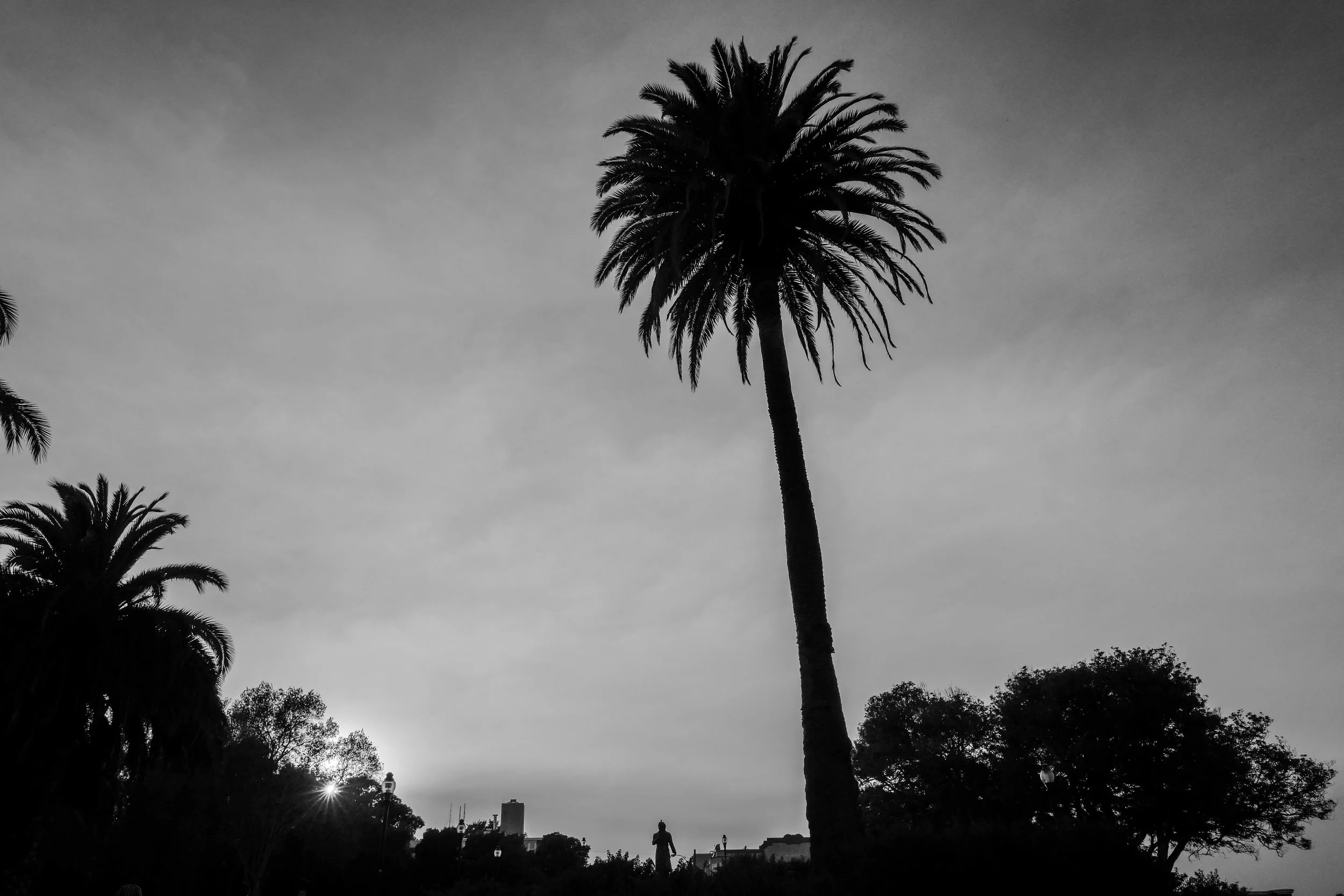 117_L1050256.jpg