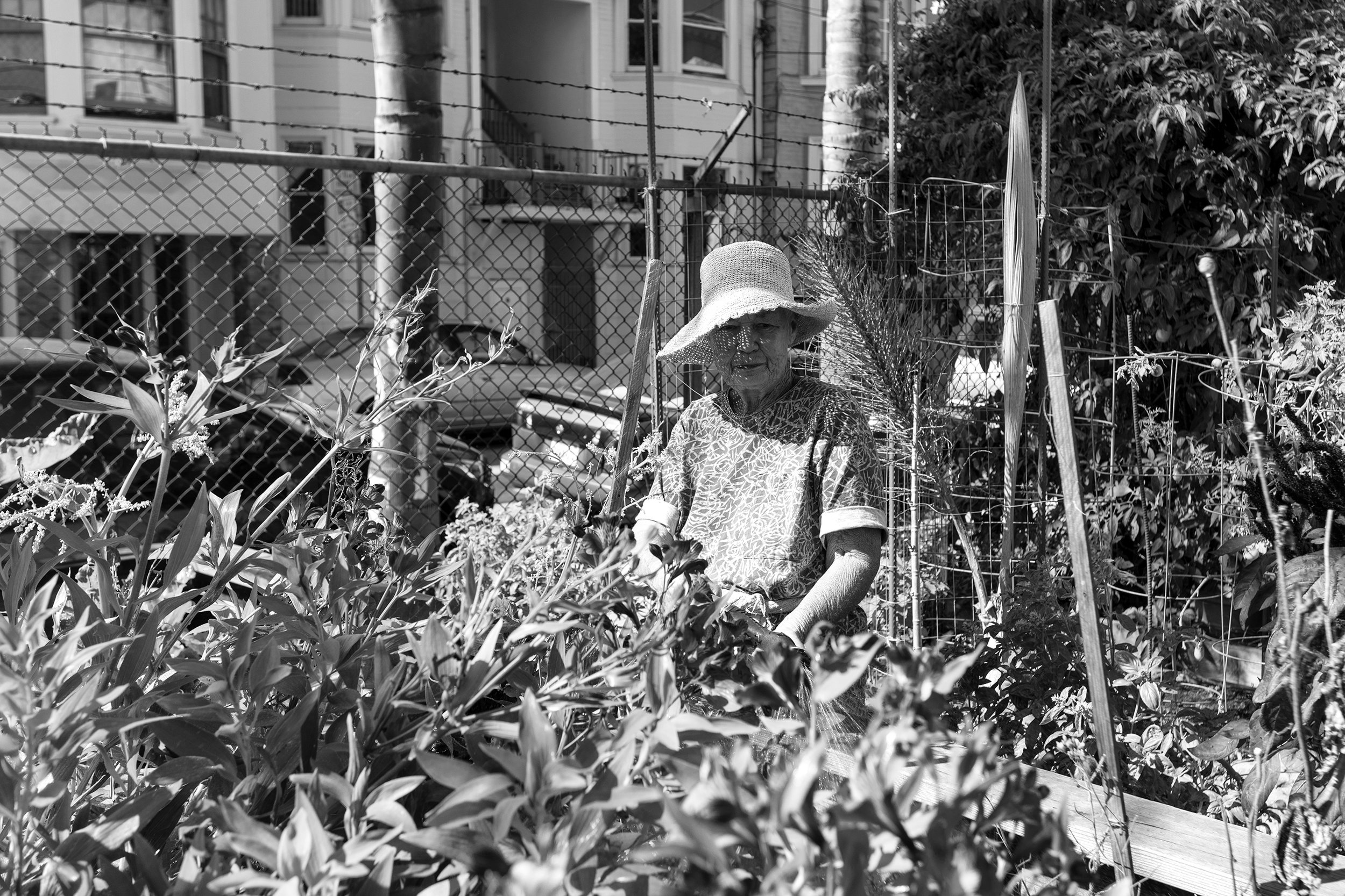 159_Scussel - Lotta at Community Garden - Bird & Dearborn B&W.jpg