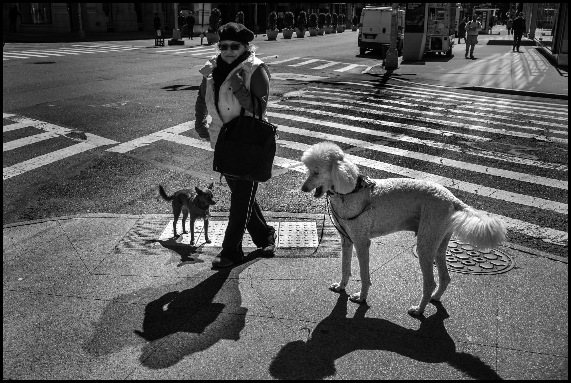 A woman walks with her two dogs on Broadway, near Columbus Circle.  March 20, 2020. © Peter Turnley  ID# &nbsp;14-002 