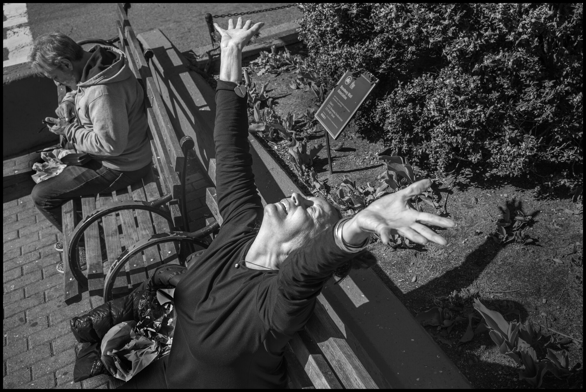  Today I have been inside most of the day. I went out to buy some food at a local grocery store, and I came across Priscilla, worshiping the sun. She was careful to be six feet from her neighbor and I stayed that distance while making this photograph