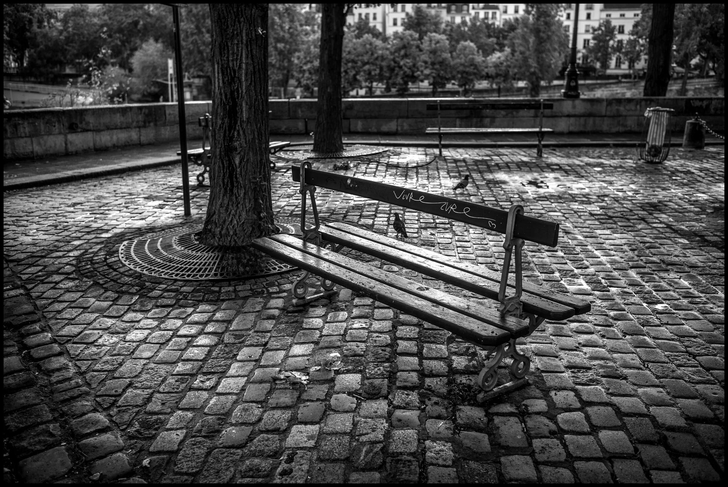  Île St. Louis, Paris.  June 12, 2020. © Peter Turnley.  ID# P25-001 