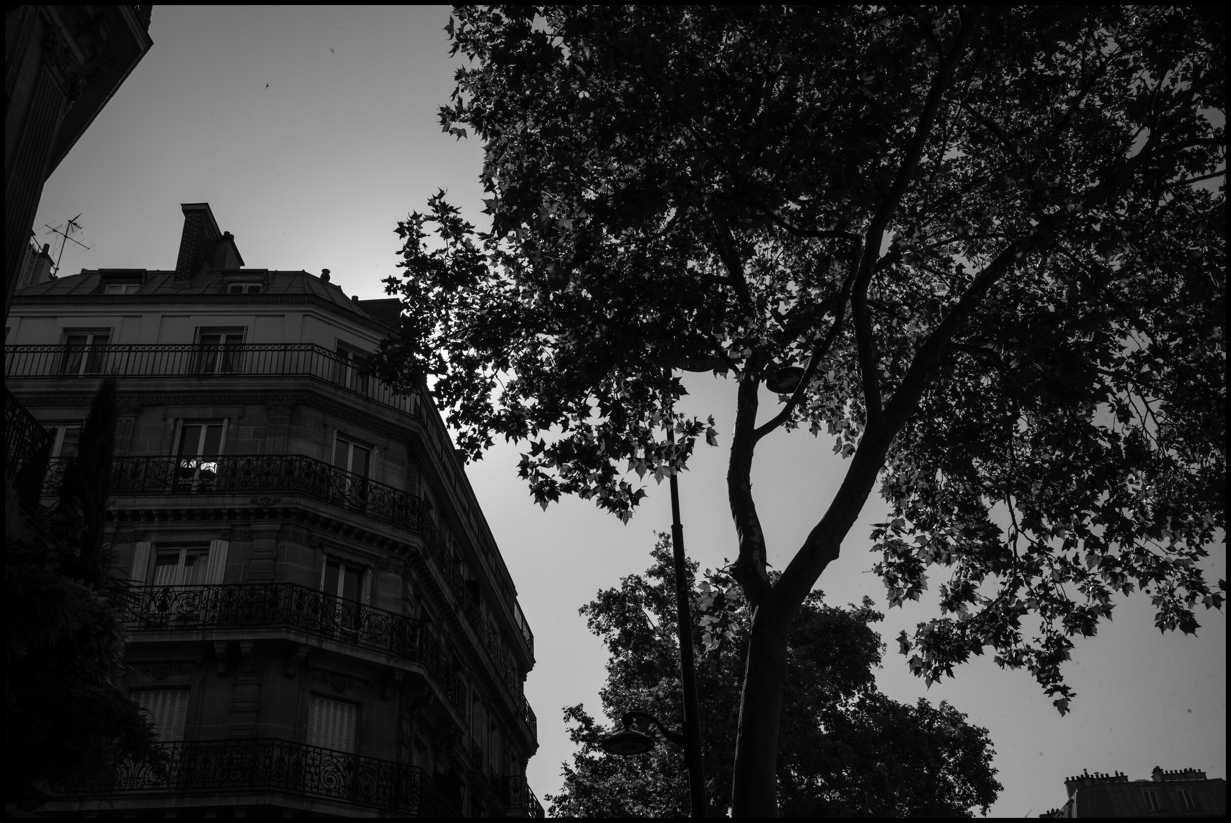  Paris.   June 25, 2020. © Peter Turnley.  ID# P42-008 