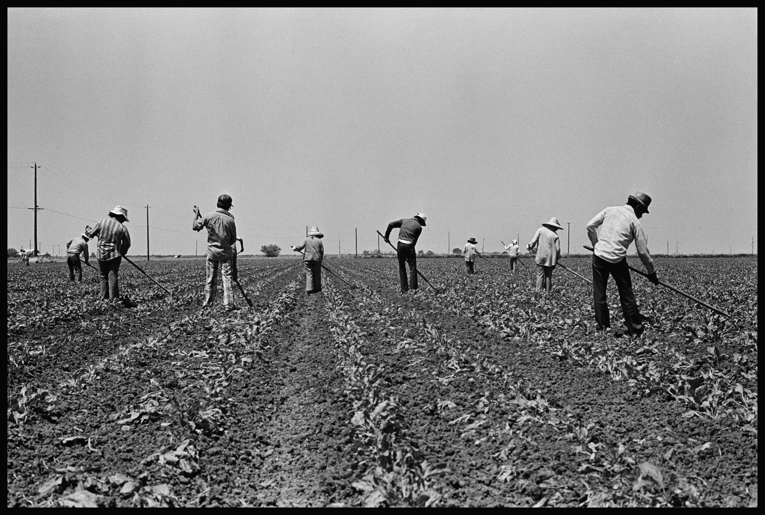 031_028_page_14_7-22a copy-bor-fin.tif.TIF.TIF.JPG