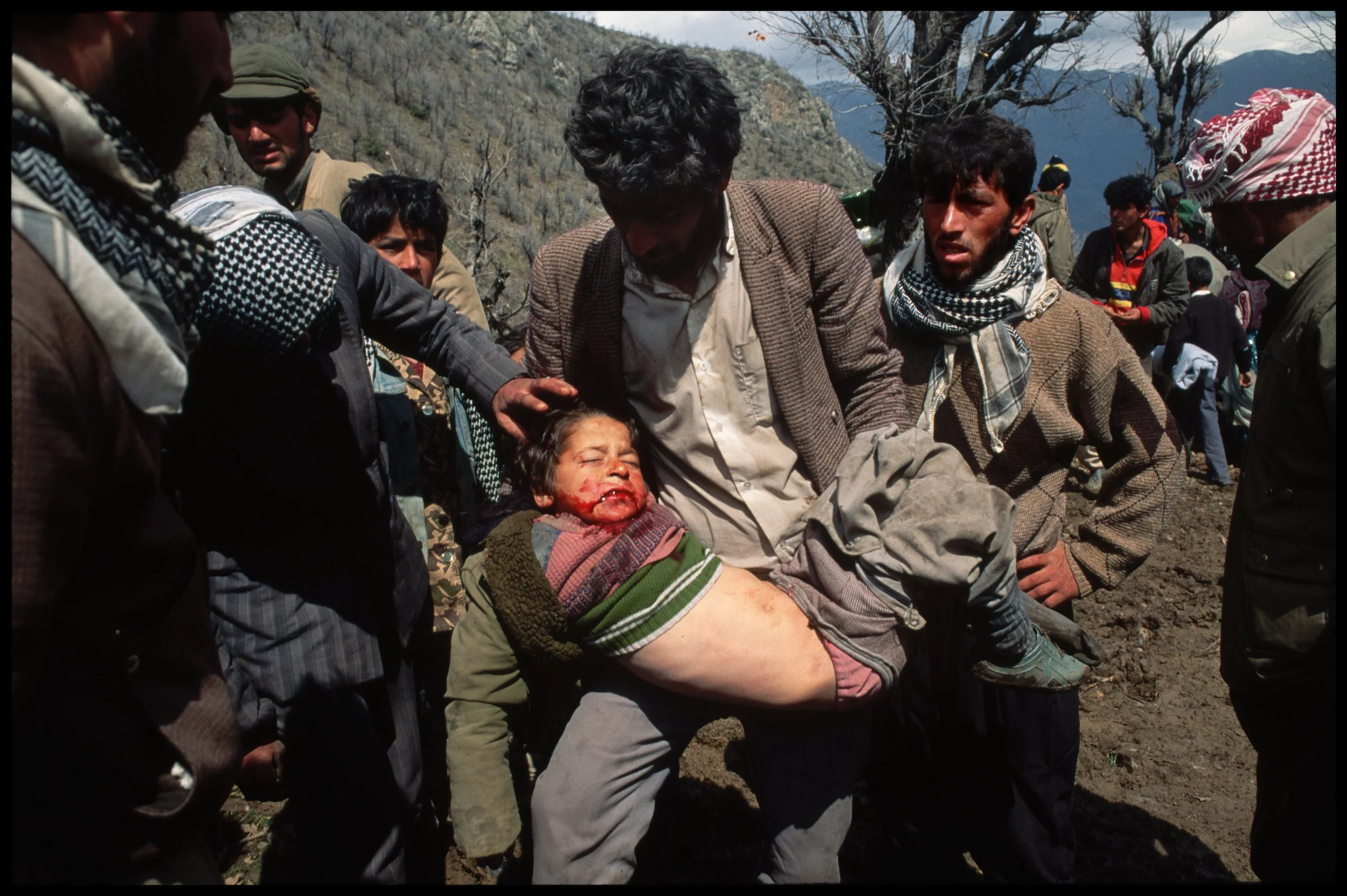 101_193_561- TL017545.tif.TIF.JPG