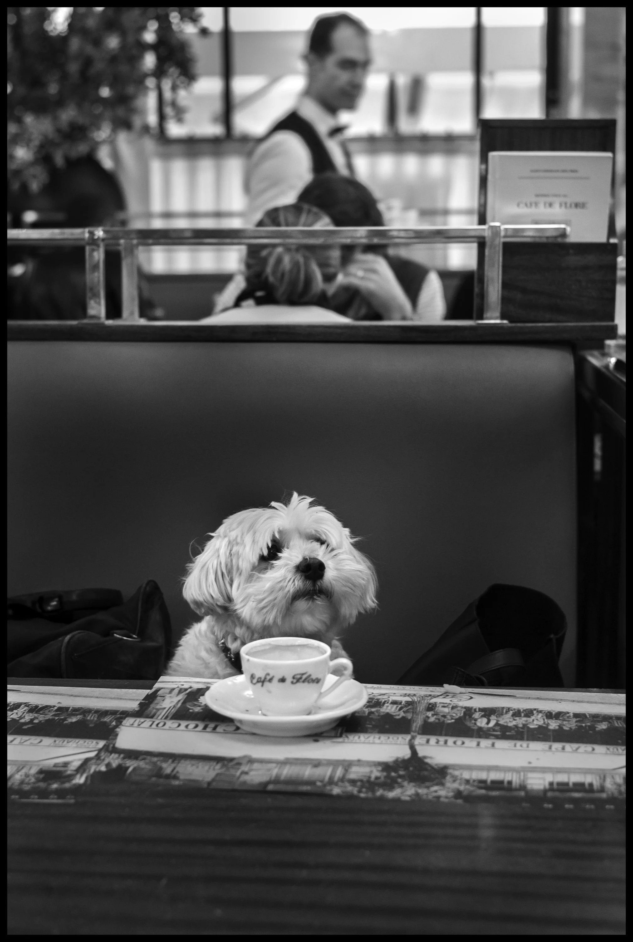 ID# 140 - Peter_Turnley.JPG