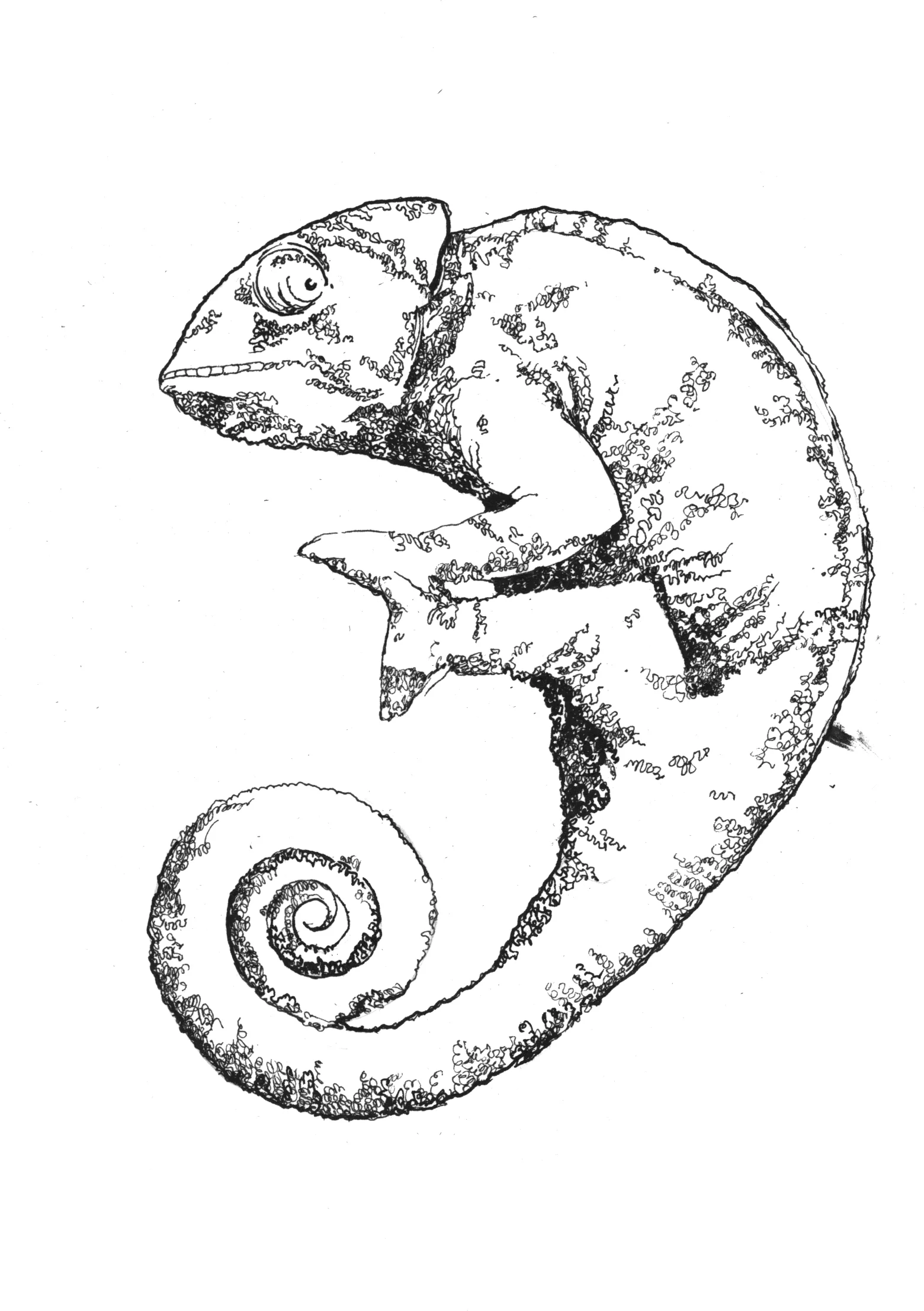 InkLizard.jpg