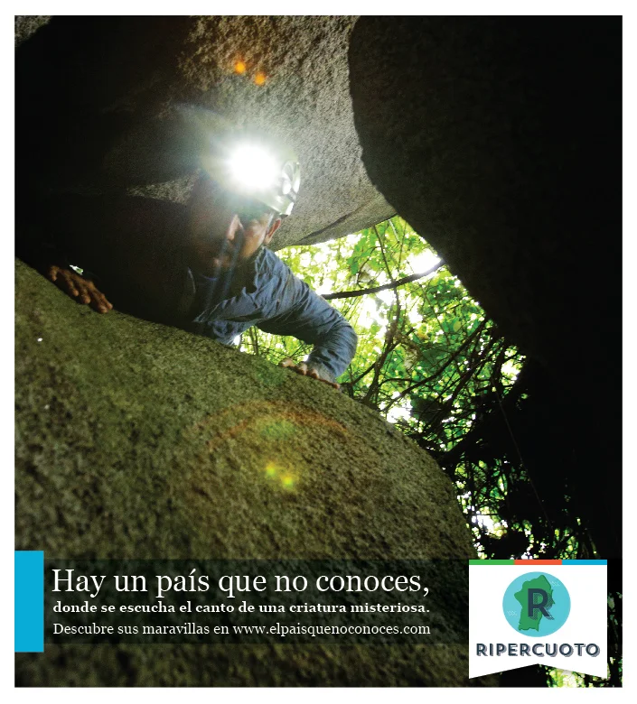 Prensa Teaser Ripercuoto-01.jpg