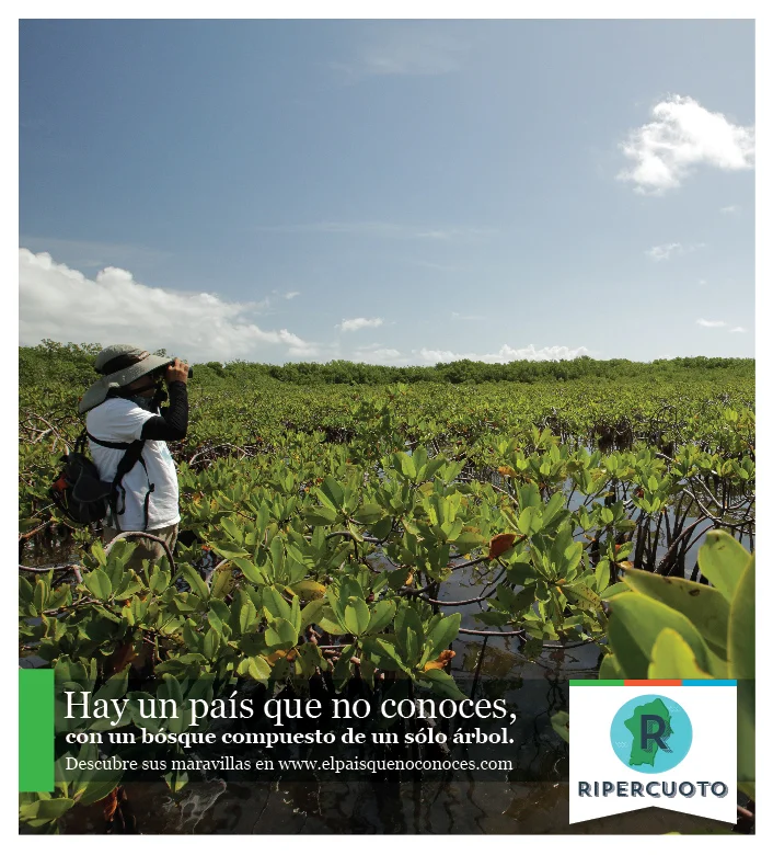 Prensa Teaser Ripercuoto-03.jpg