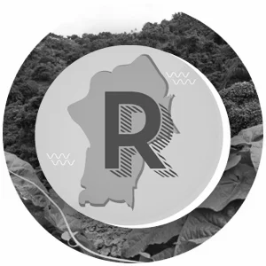 PagesIcon.jpg