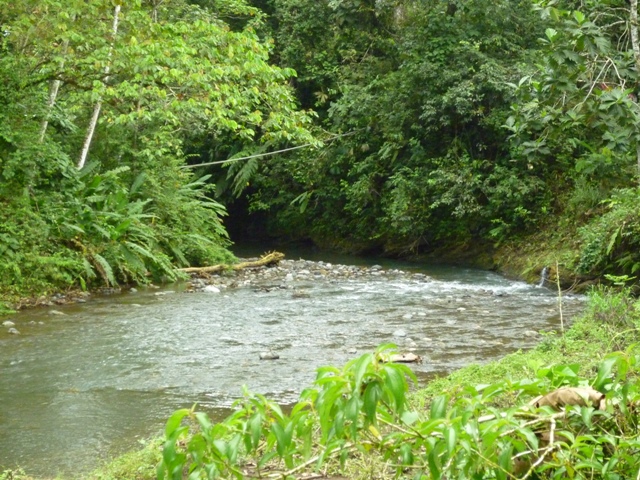 The Rio Tigre is located right in front of the Casa los Suenos property with several swimming holes and waterfalls with-in walking distance.