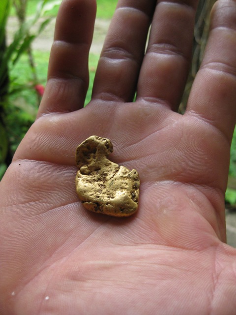 Dos Brazos Gold, 28 GRAMs.jpg