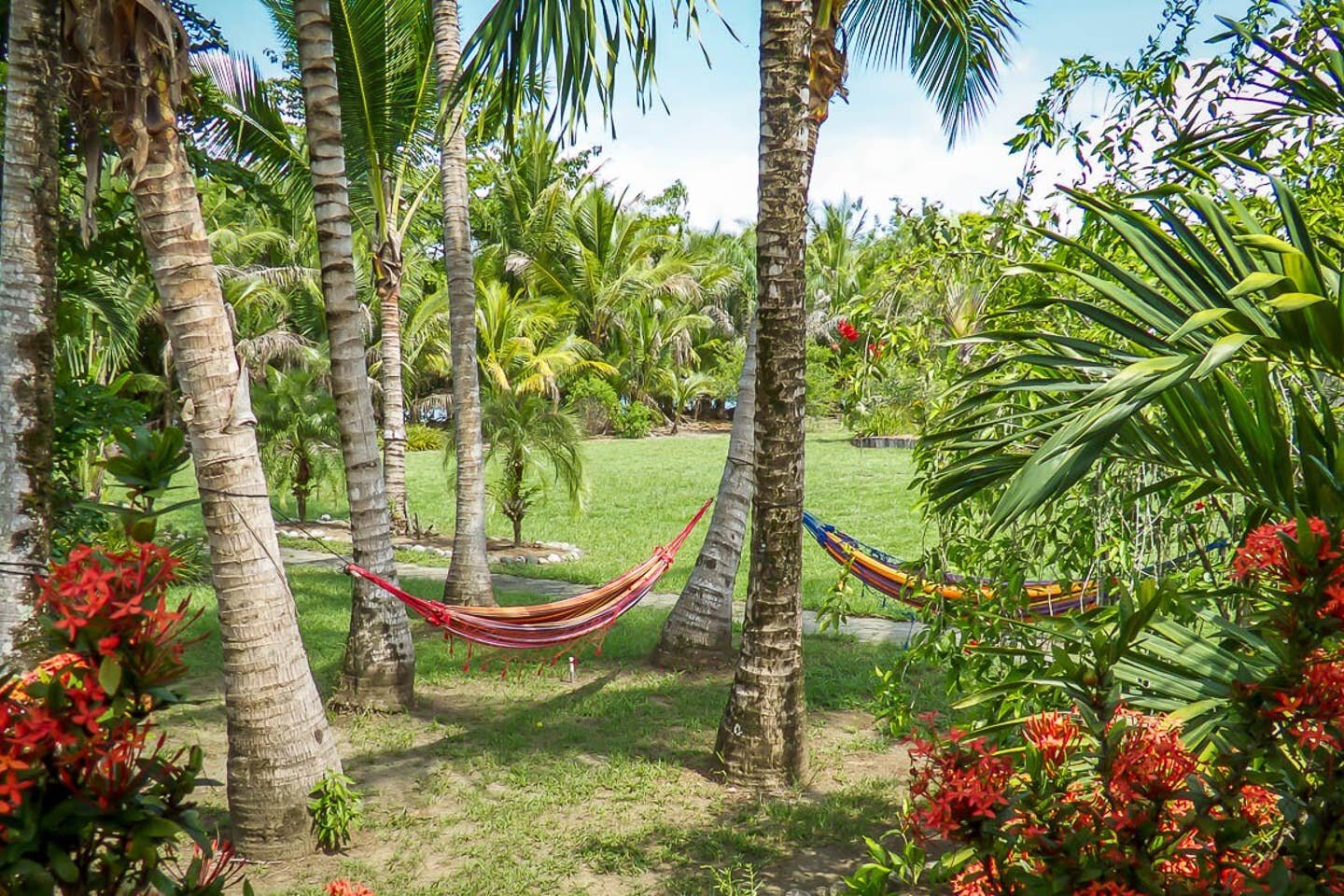 Relaxing in Costa Rica.jpg