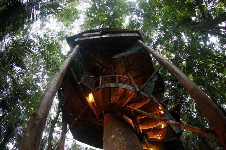 Tree house 2019 (2).jpg