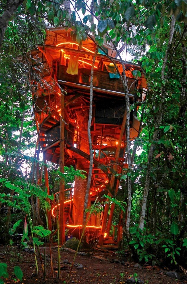 Tree house 2019 (5).jpg