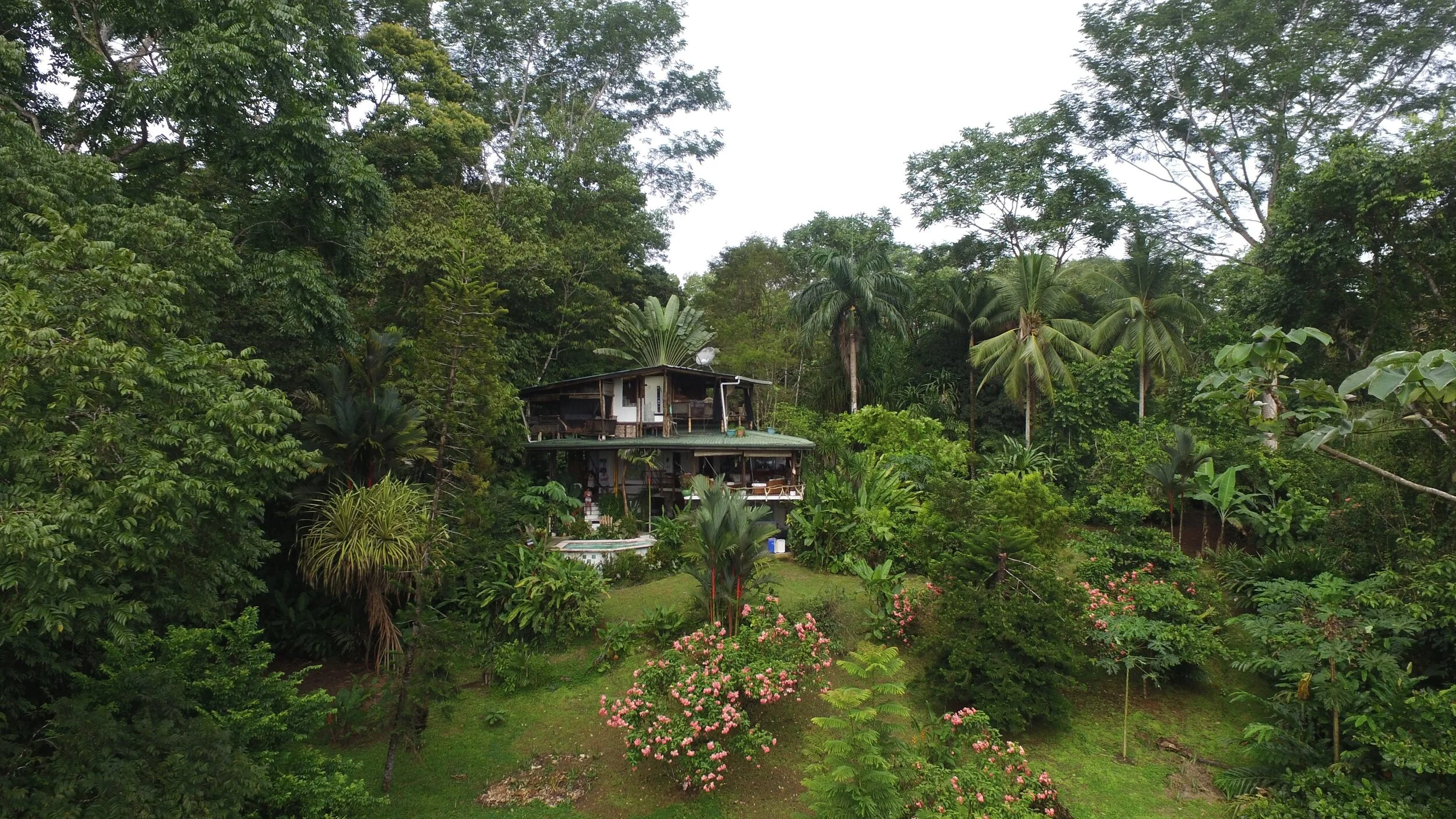 Jungle POOL CASA.jpg