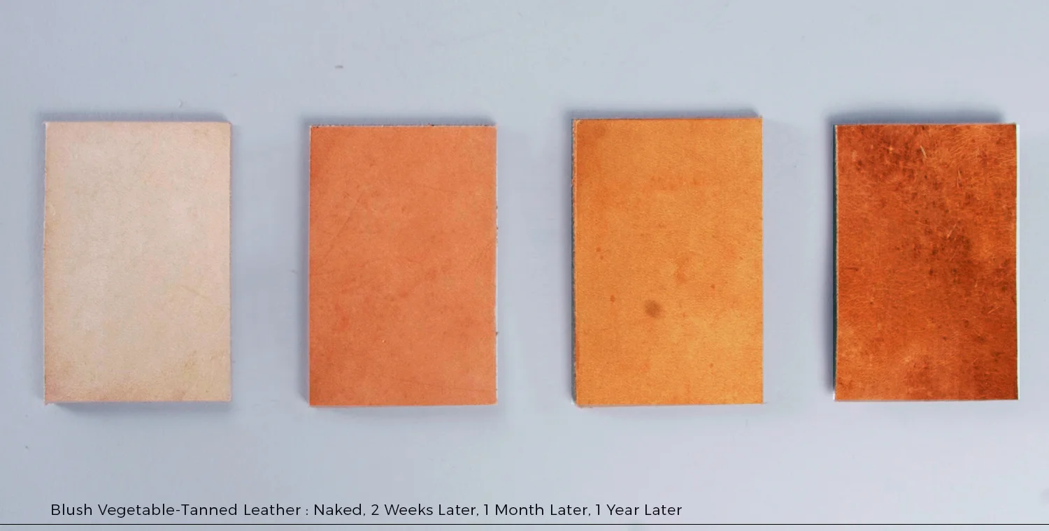 Care_and_wear_Blush-Swatches_.jpg