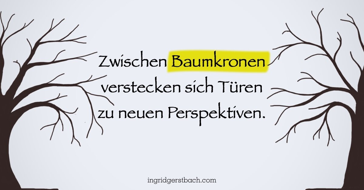 Wie Spaziergänge Ihr Leben verändern