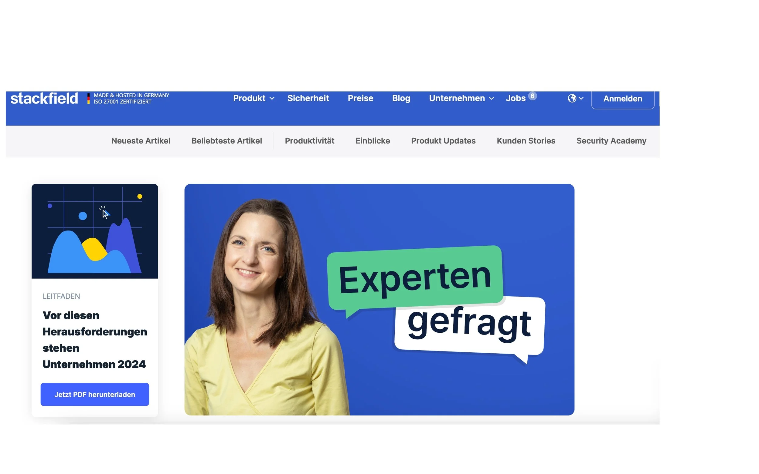 Stackfield: Experteninterview