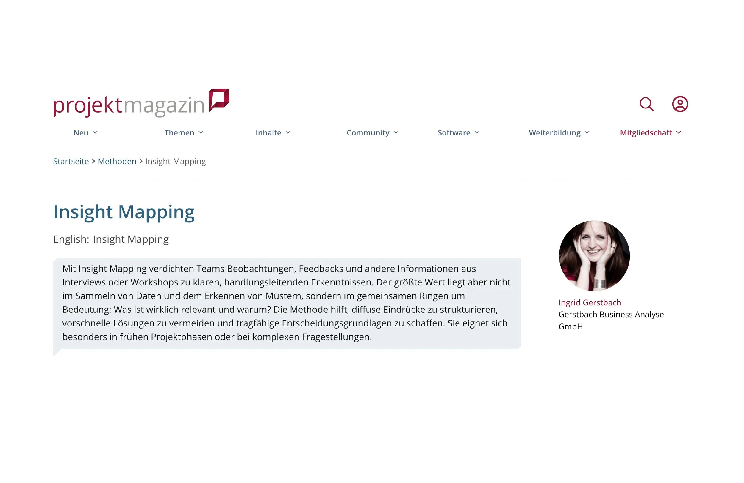 Projektmagazin: Insight Mapping