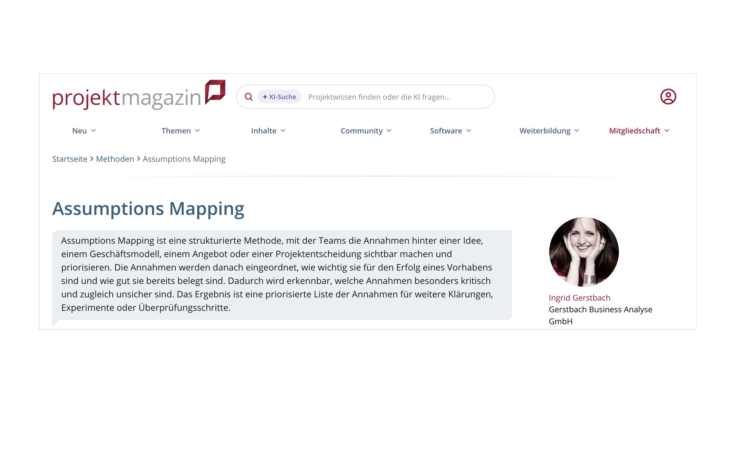 Projektmagazin:  Assumptions Mapping 