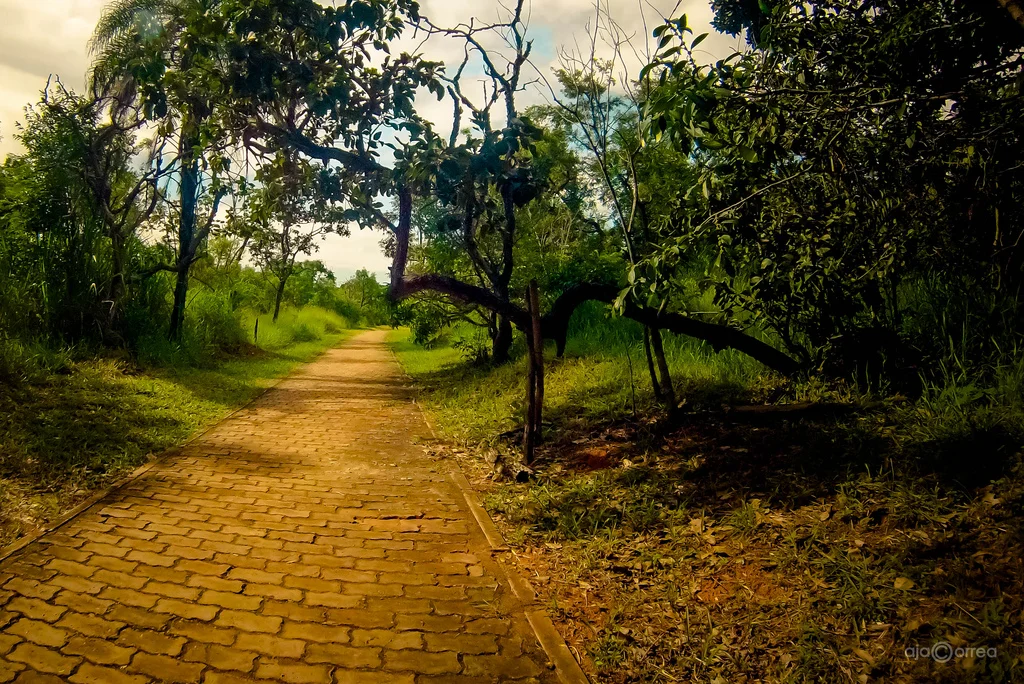 Follow YOUR Yellow Brick Road