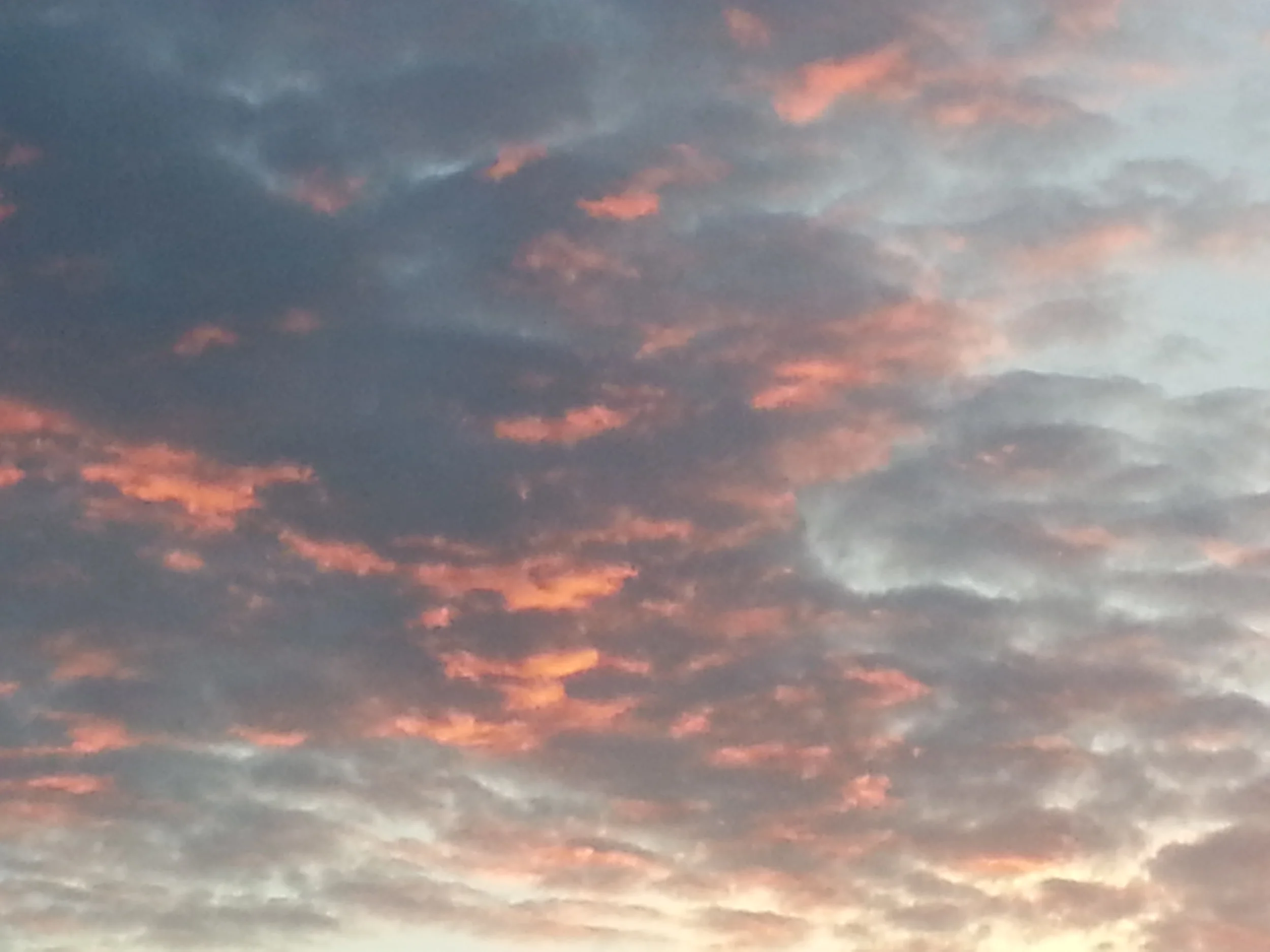 20130526_214414.jpg