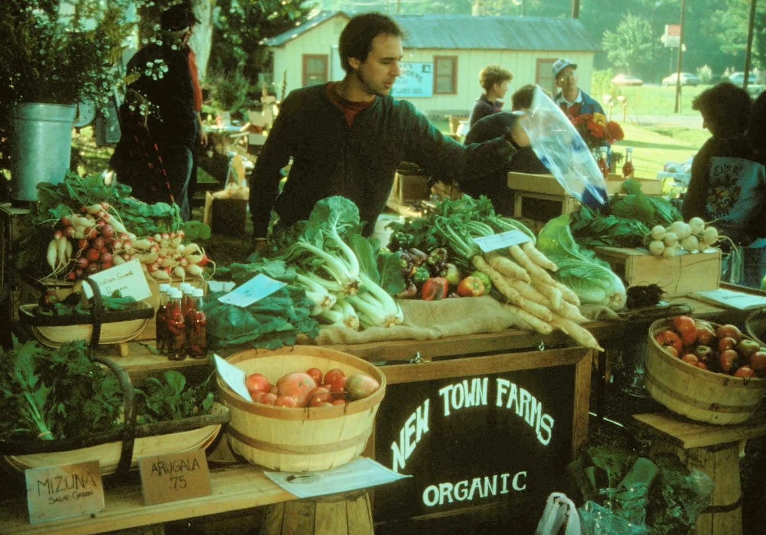 About — New Town Farms