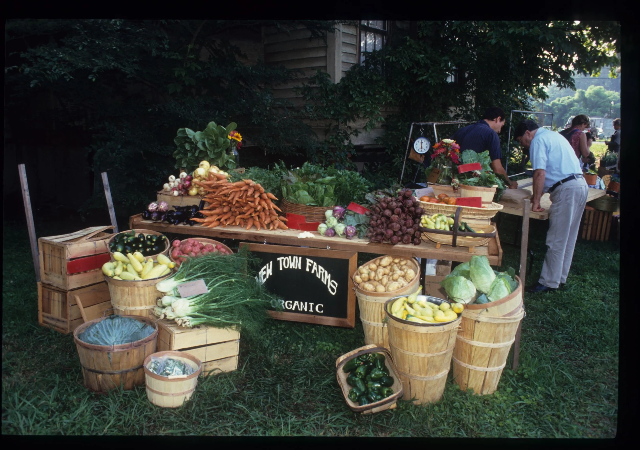 About — New Town Farms